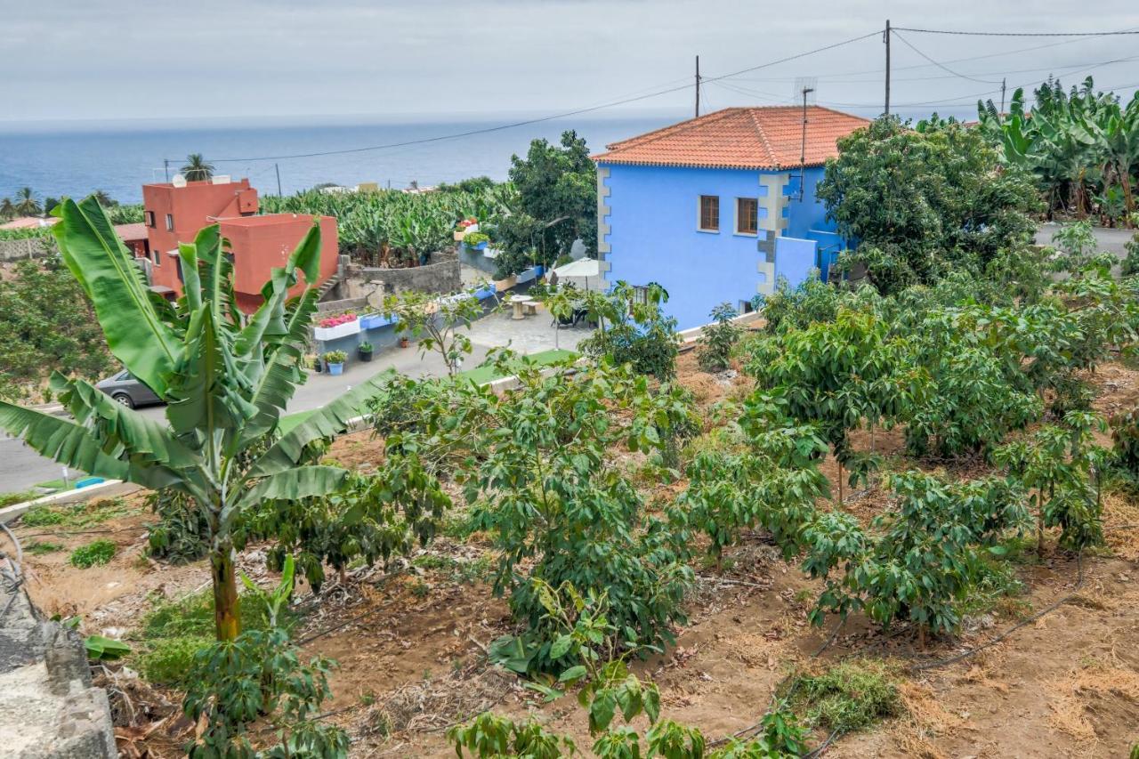 Casa Las Canas Icod De Los Vinos Eksteriør bilde